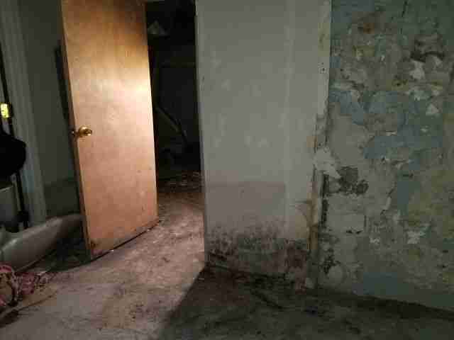 Testing again(53).jpg